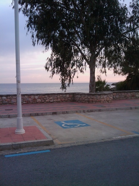 P1292601599