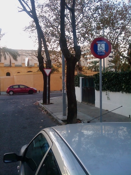 P1293382771